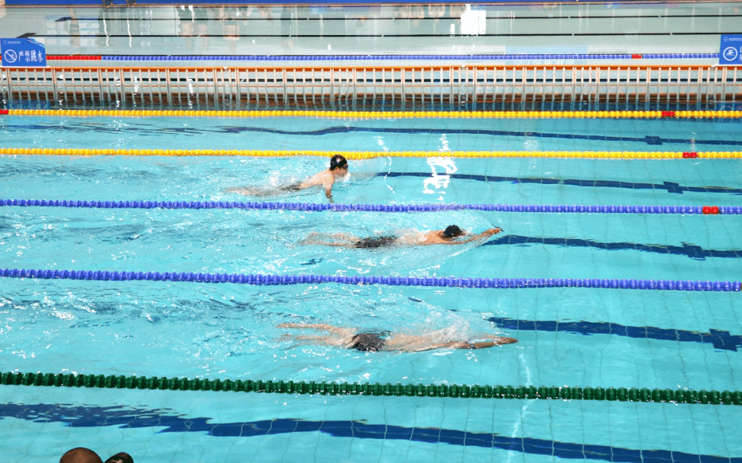 冰岛选手在游泳比赛中创造新的战绩