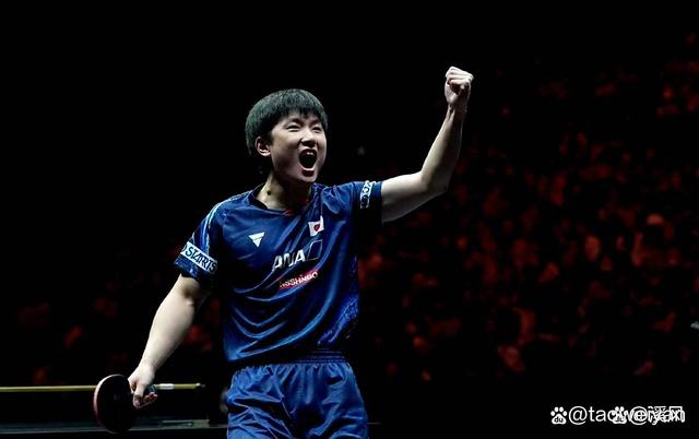 关于波兰乒乓球队险胜德国乒乓球队，张本智和统治全场的信息