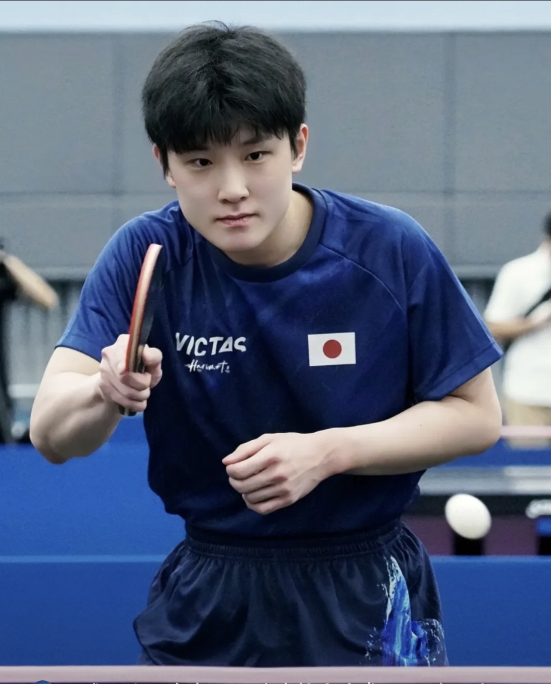 奥地利队横扫葡萄牙队，张本智和点燃赛场