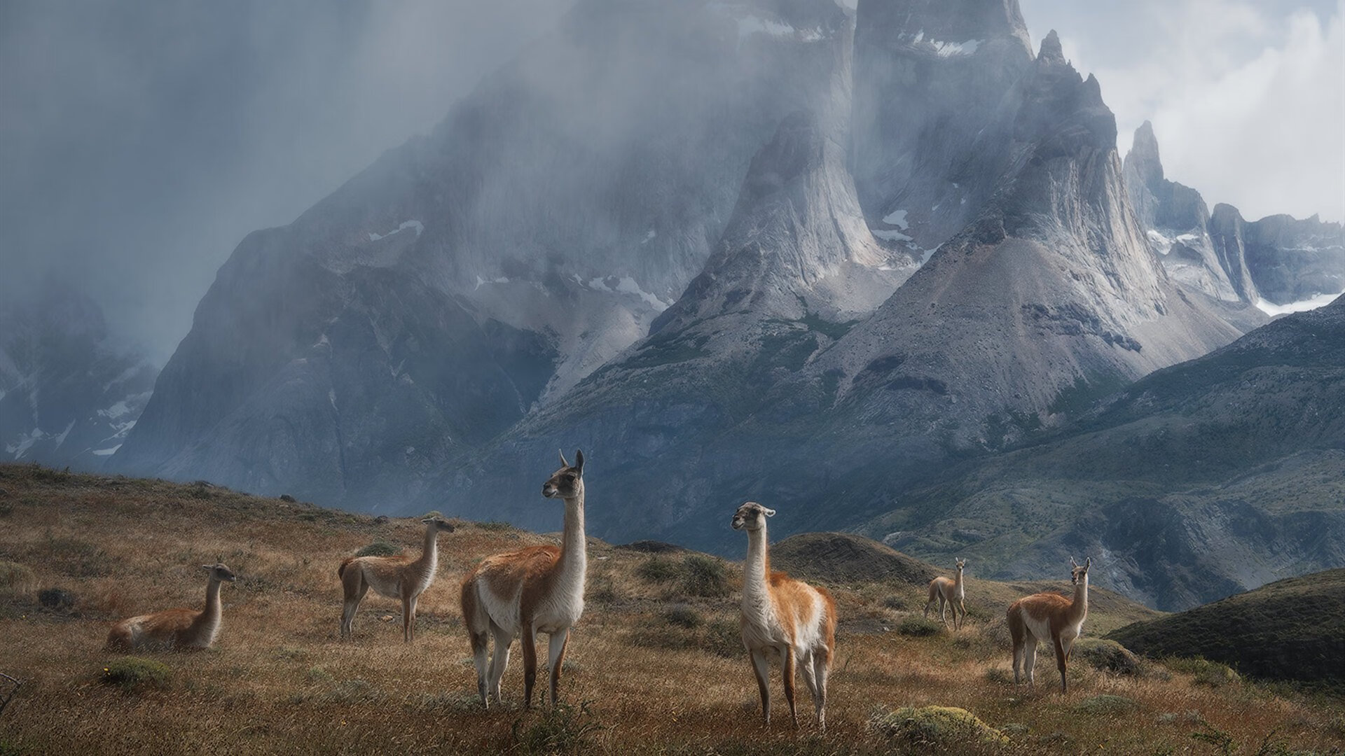 东契奇早定乾坤,凯尔特人压哨绝杀,NBA悬念的双重变奏