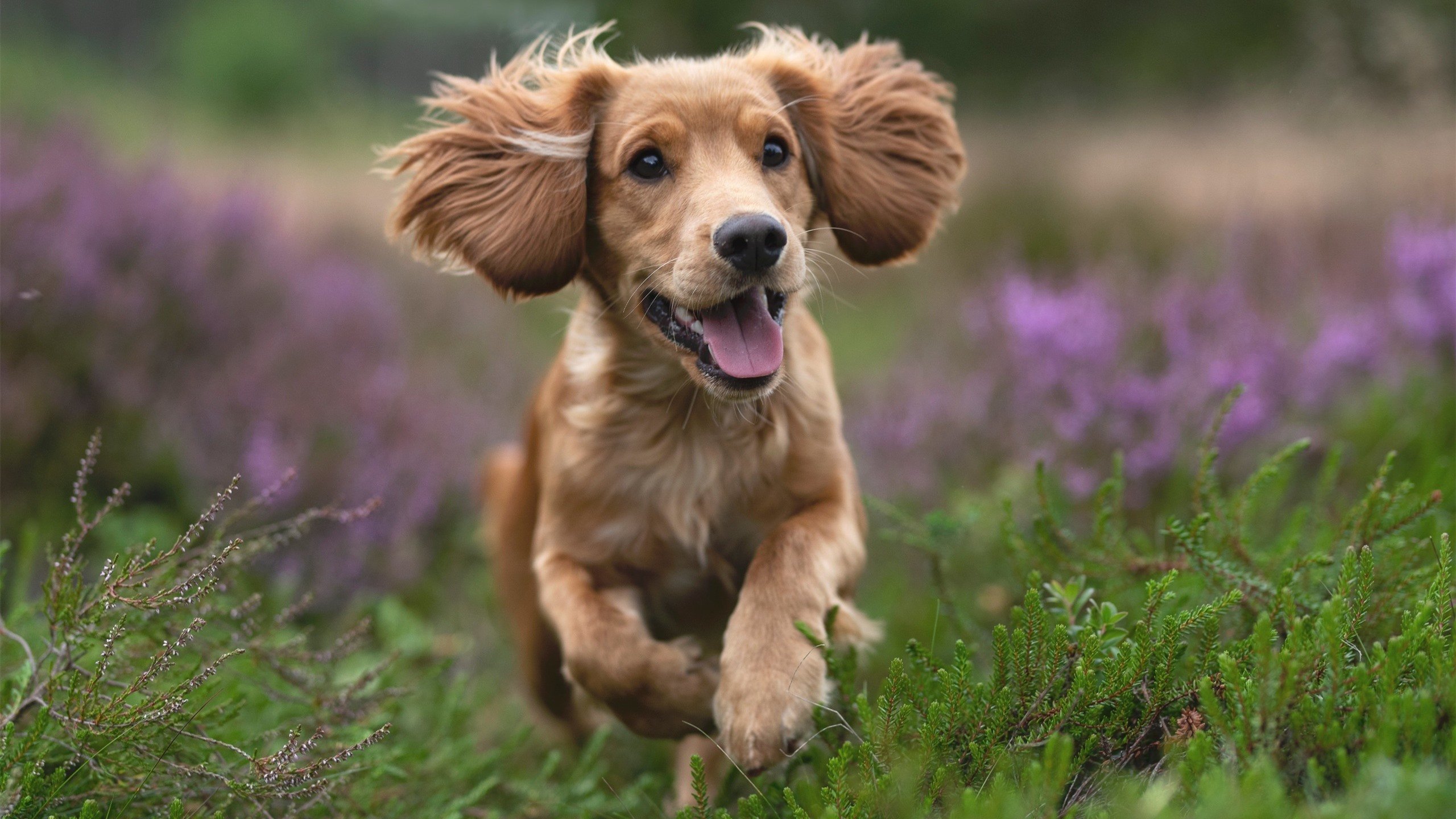 2026世界杯之夜,托尼在霓虹血雨中封神