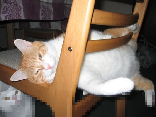 迪巴拉节奏完全掌控,马德里竞技轻取洪都拉斯展现战术大师风范