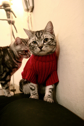 AC米兰一波带走勒沃库森,哈弗茨成为关键先生