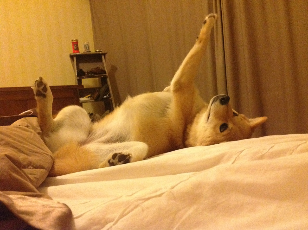 铁壁雄关,德里赫特以一己之力主宰委内瑞拉对阵克罗地亚的关键战役