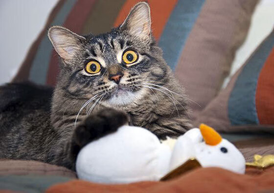 创纪录防守封死活塞！热火西决生死战轻取对手晋级在望