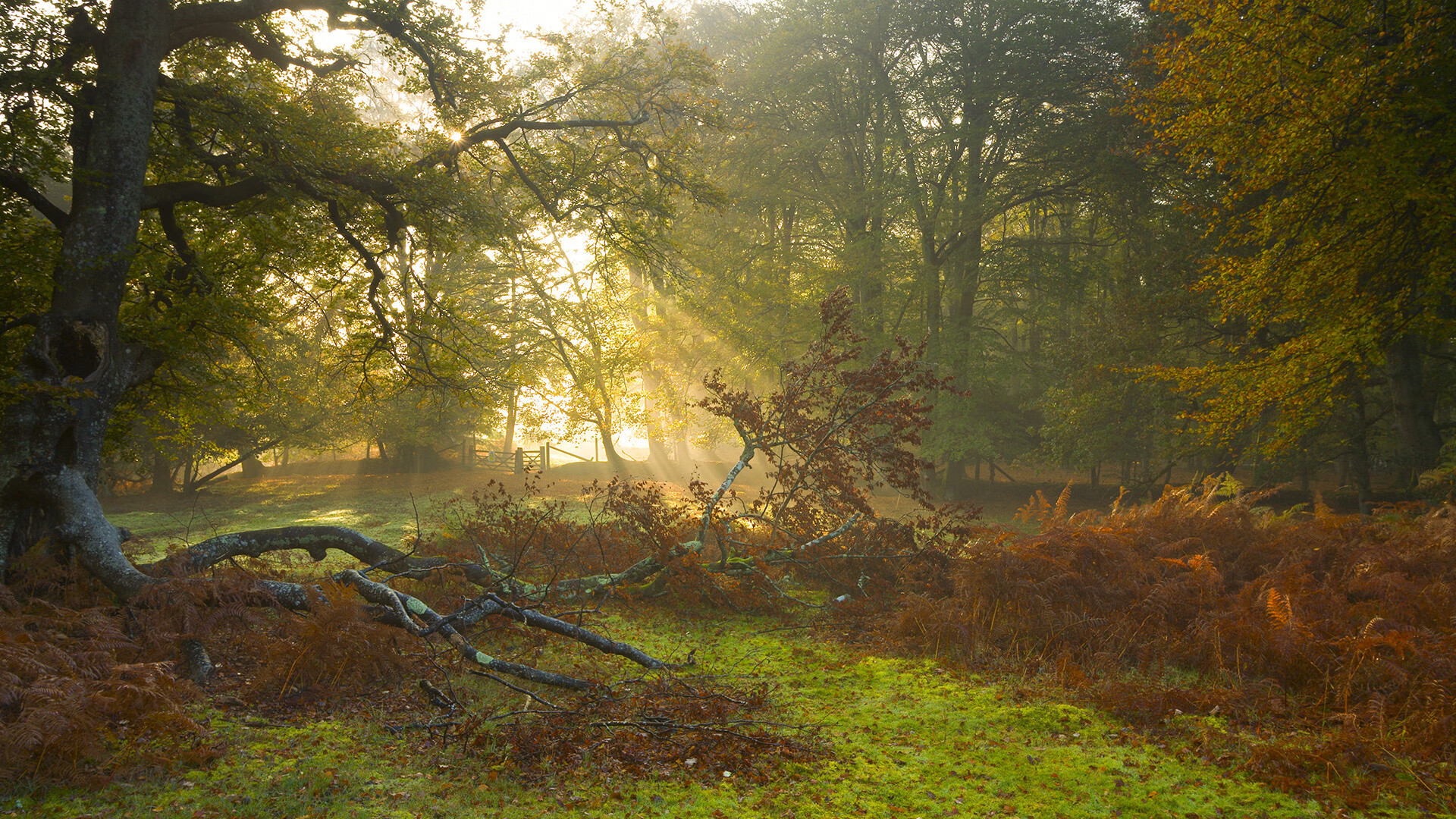 决胜时刻的英雄赞歌，从希腊绝杀克罗地亚到拉什福德英超封神之战