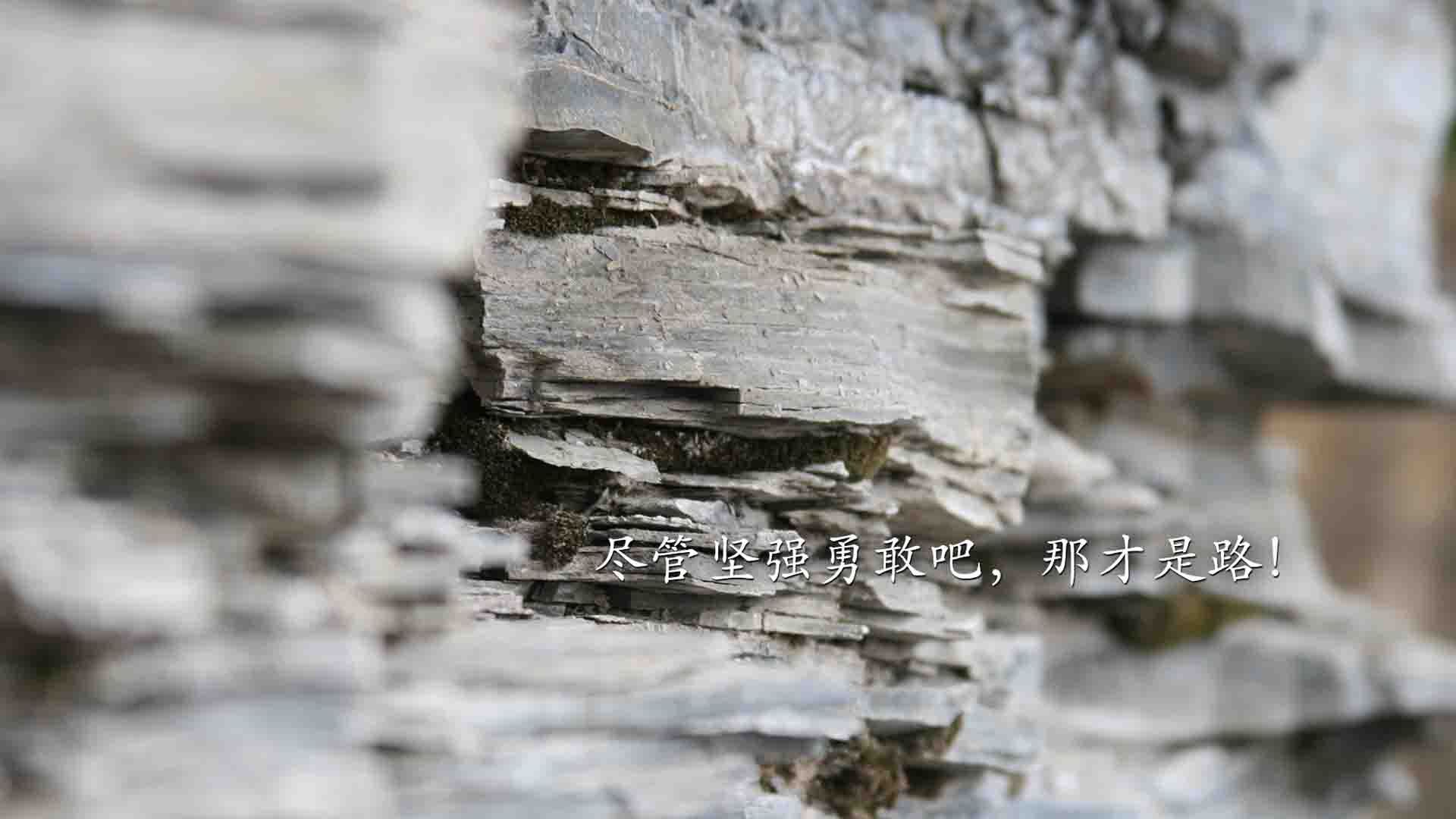 足球激情双响炮，巴拉圭决胜局力压丹麦，萨内德甲争冠战独揽风云